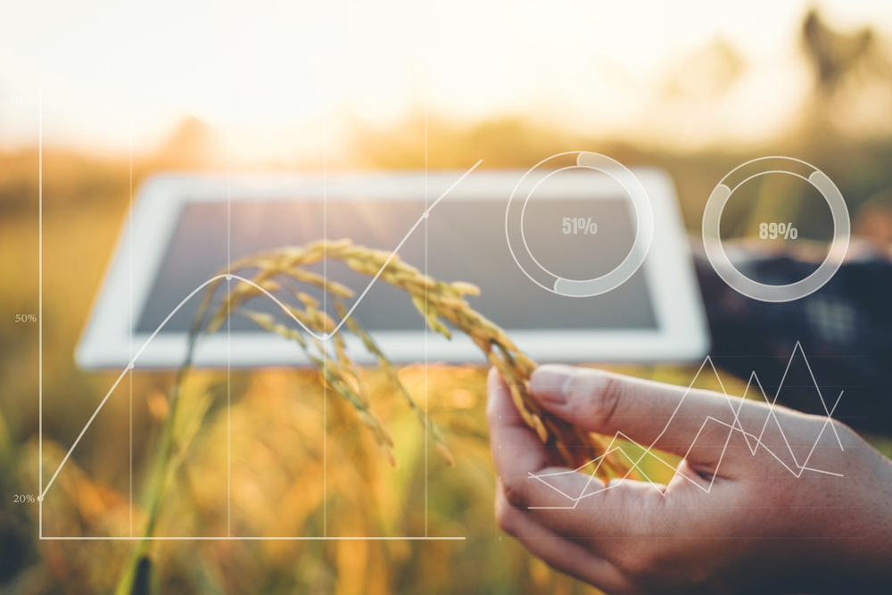Malaysia’s DSTE Capital Launches Blockchain Platform to Track Agricultural Produce