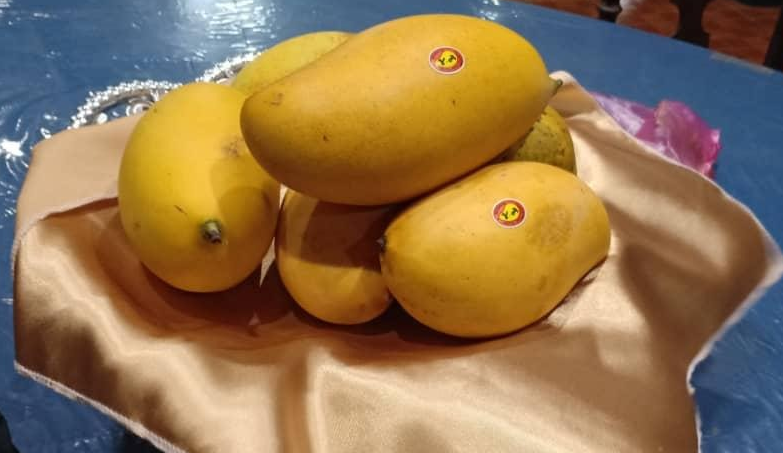 Food Traceability Through Blockchain: Harumanis Mangoes